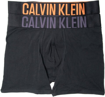 Мужские спортивные боксеры Calvin Klein Intens Power Boxer Brief 2P - черный