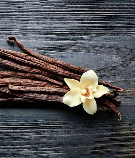 Ароматический диффузор Новая земля, Bago home