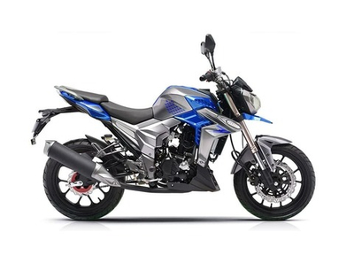 Мотоцикл REGULMOTO T-Leopard 300