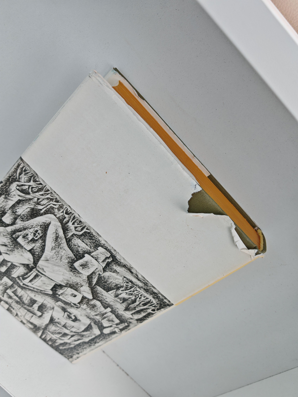 Дитте - дитя человеческое