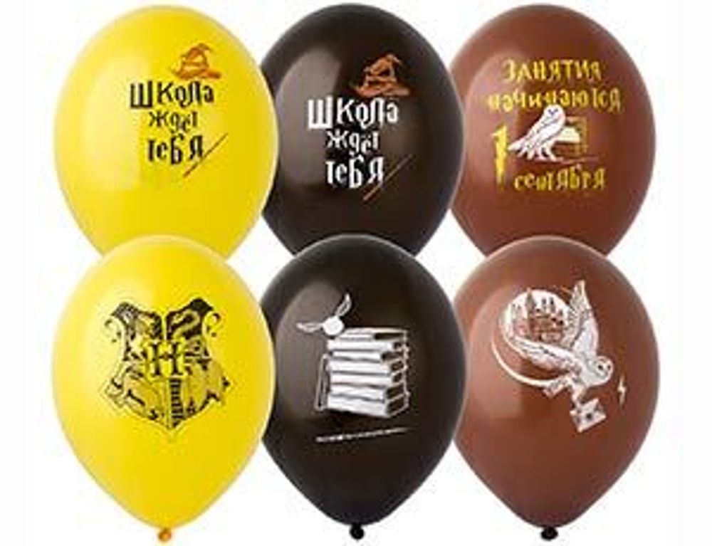 Шар с рисунком 14" Школа ждет Тебя! 2цв 50шт.