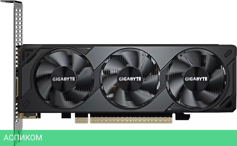 Видеокарта GigaByte GeForce RTX 5060 OC Low Profile 8G GDDR7 (GV-N5060OC-8GL)