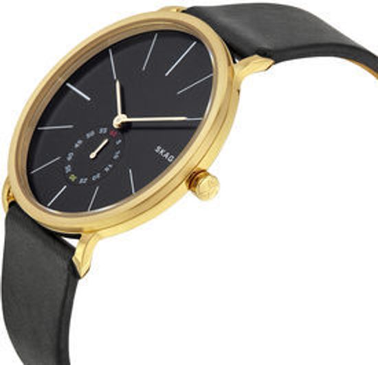 Мужские часы Skagen SKW6217
