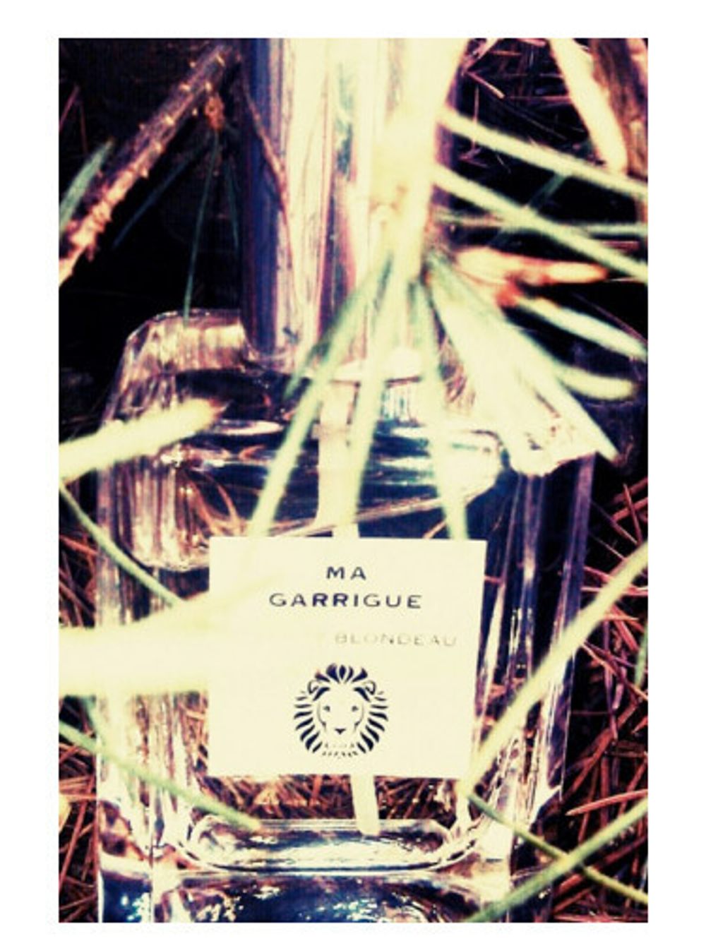 Thierry Blondeau Ma Guarrigue