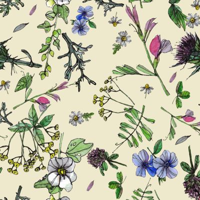 Полевой букет