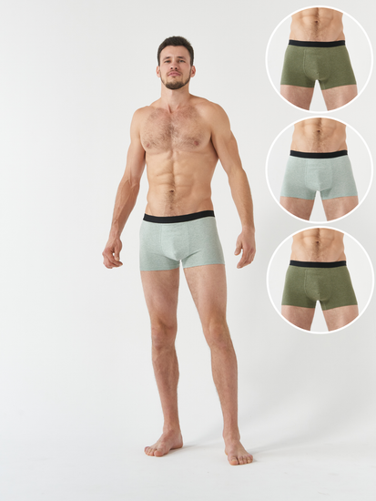 Набор мужских боксеров TMS3-1795/3