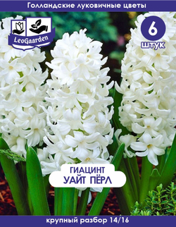 Луковицы цветов гиацинт Уайт Перл, 6шт