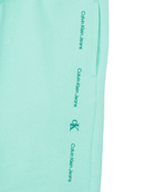 Шорты Calvin Klein Jeans - мятный(IB0IB02061)