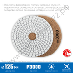 ЗУБР АГШК 125 мм, №3000, мокрое шлифование, Алмазный гибкий шлифовальный круг (29867-3000)