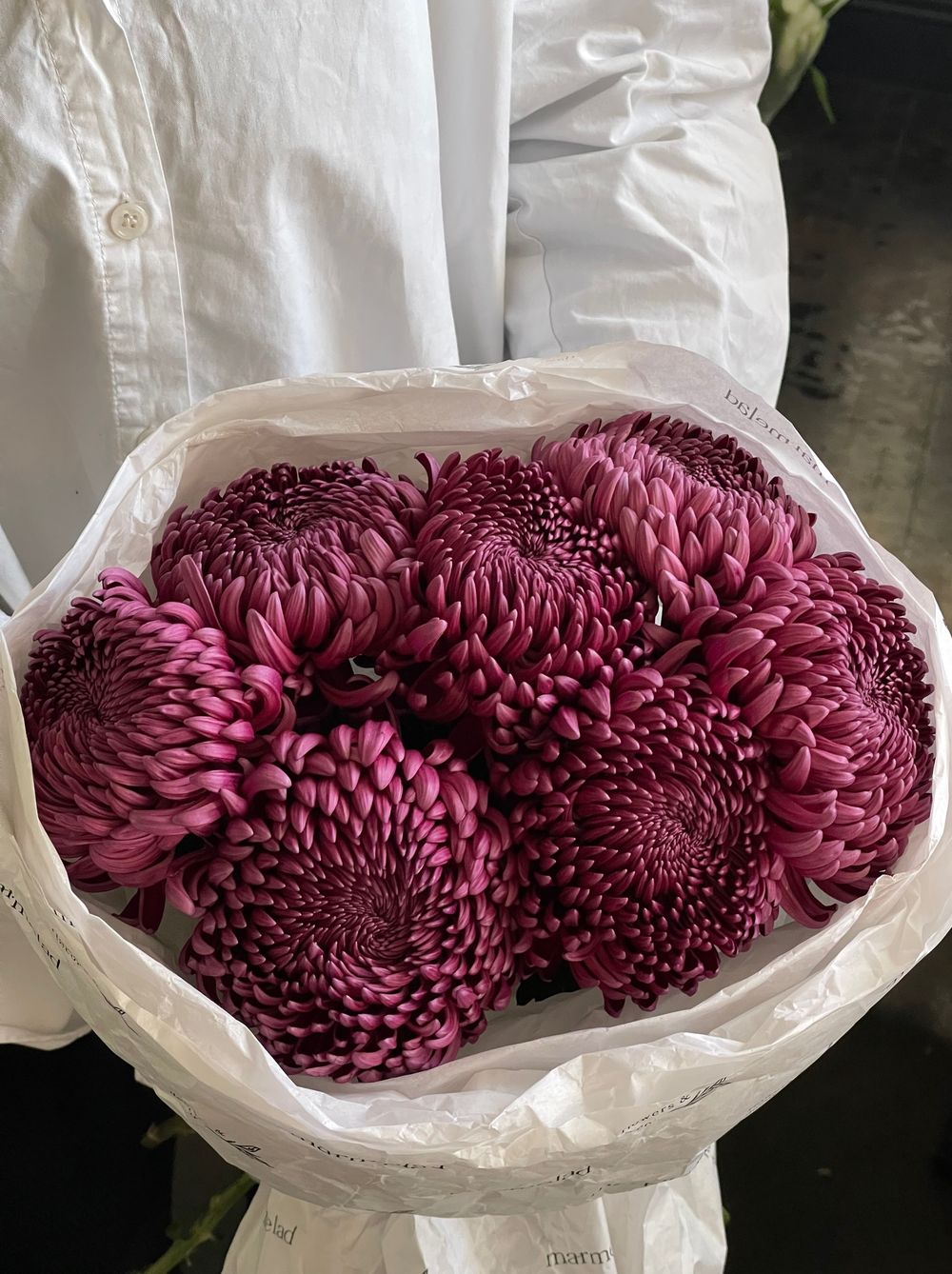 Моно из одноголовой хризантемы сливового оттенка 7шт