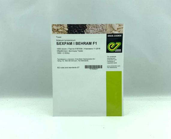 Бехрам F1 семена томата детерминантного (Enza Zaden / Энза Заден) – фото 2