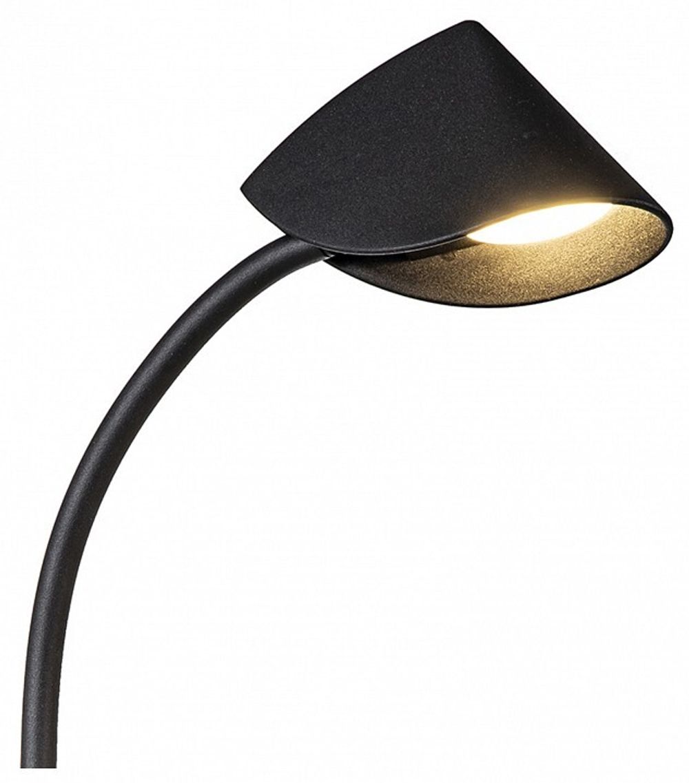 Настольная лампа офисная Mantra Capuccina 7587