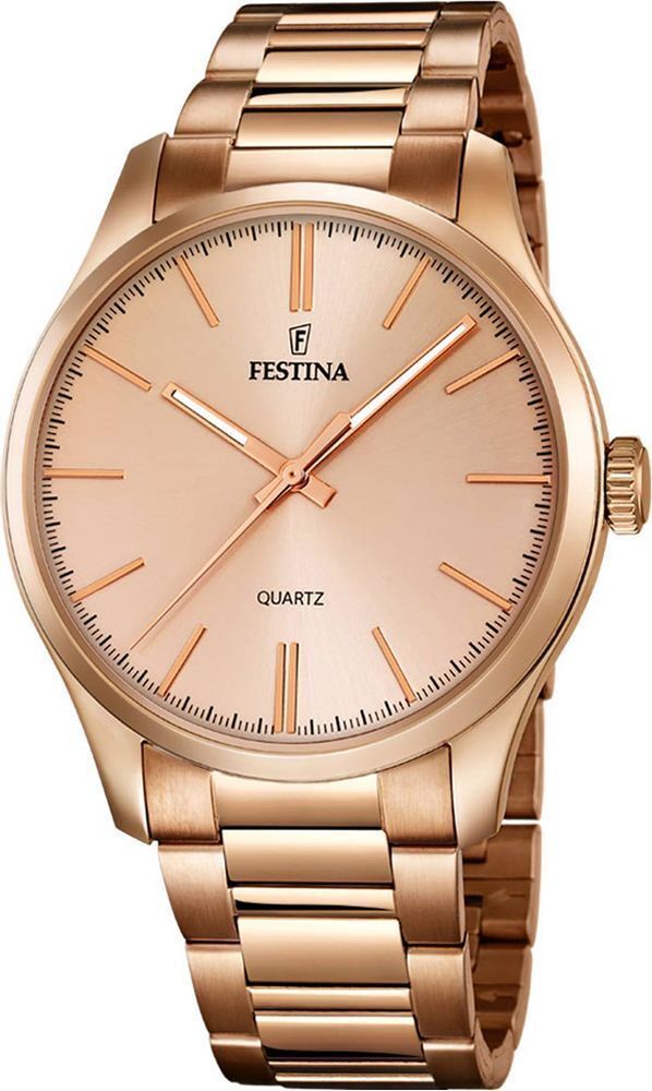 Мужские наручные часы Festina F16809/1