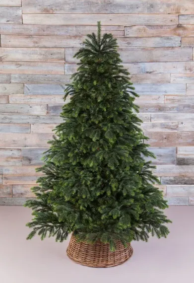 Ель Раскидистая 305 см., литая хвоя+пвх, Black Box (74336)