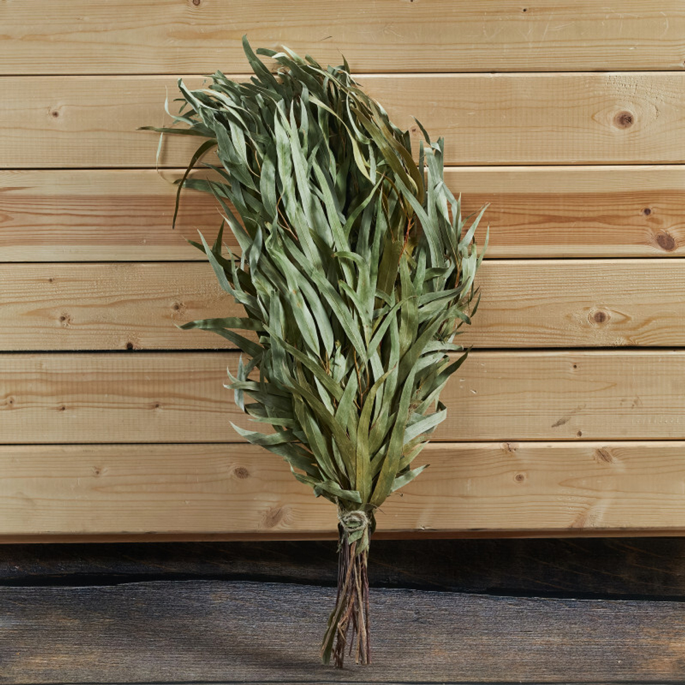 Веник эвкалиптовый_2.jpg