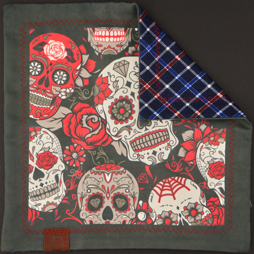 Хэнк черепа