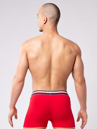 Мужские боксеры из мягкого хлопкового трикотажа с резинкой в полоску (Размер: XXL) (Цвет: красный)