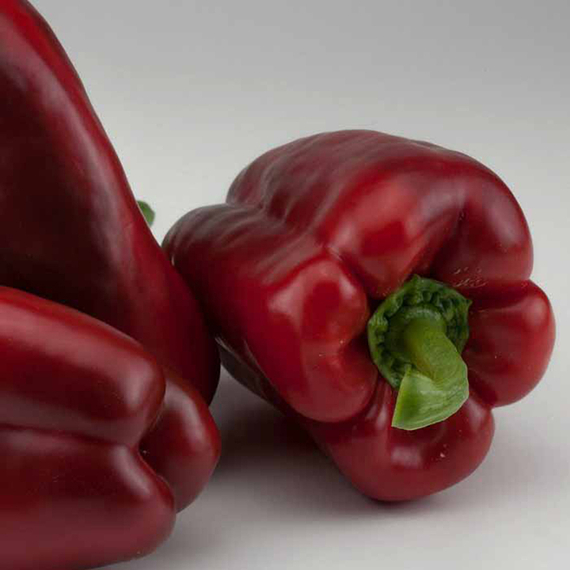 Клаудио F1 семена перца сладкого (Nunhems / Нюнемс) – фото 6