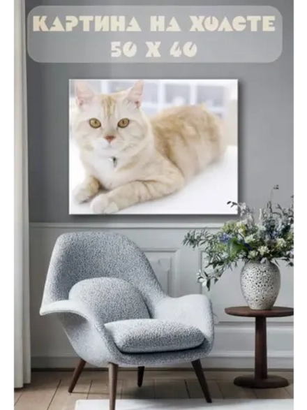 Картина на стену 40 X 50 Кошка