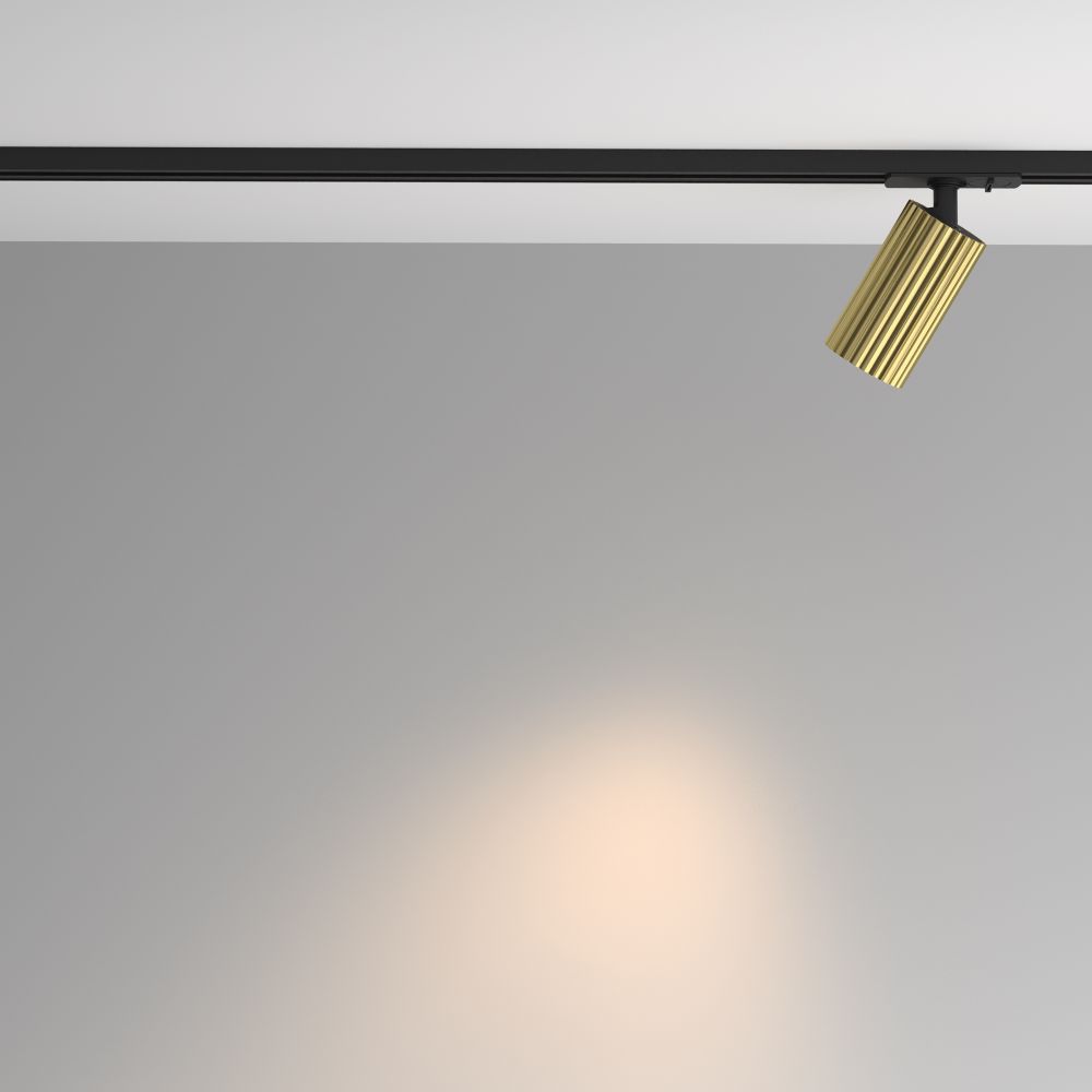 Трековый однофазный светильник Maytoni   TR218-1-GU10-BS