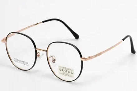 Очки для зрения с оправой Status 8325-1 c5 titan