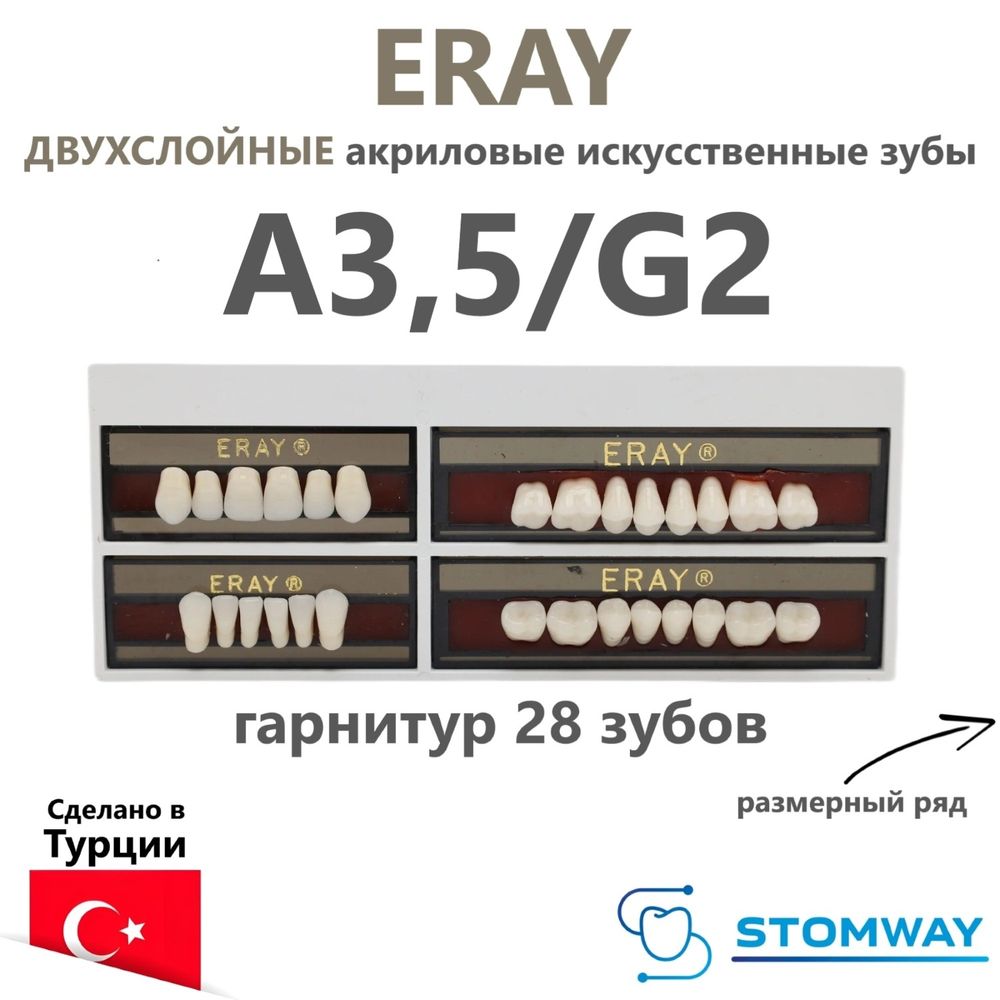 Eray (гарнитур 28 зубов, A3,5/G2) зубы искусственные акриловые двухслойные