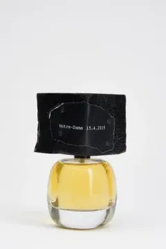 Filippo Sorcinelli Notre-Dame 15.4.2019