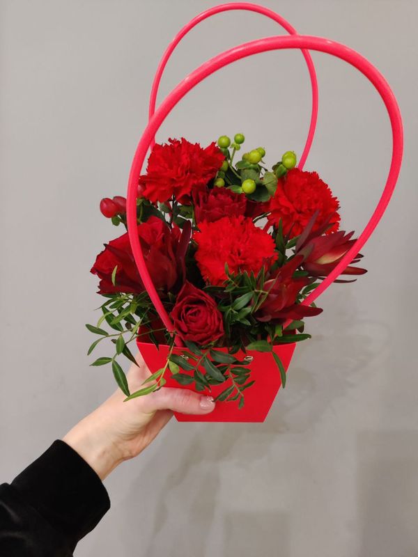 Композиция "Леукадендрон" Композиция "Леукадендрон"