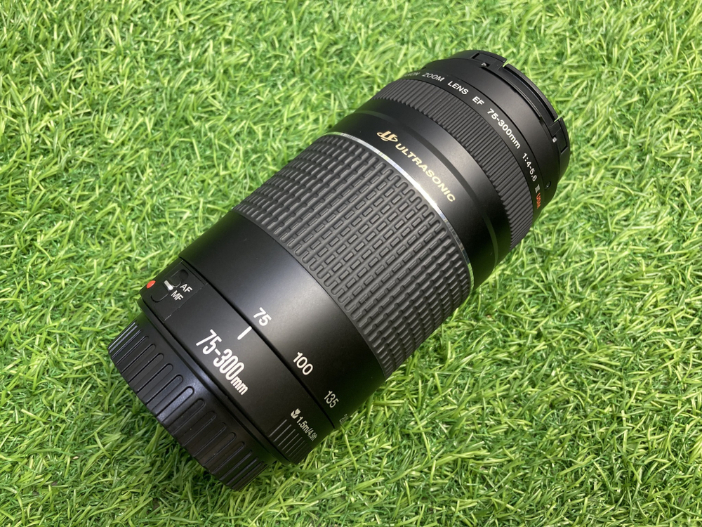 Canon EF 75-300mm 4-5.6 III USM Покупка/Продажа