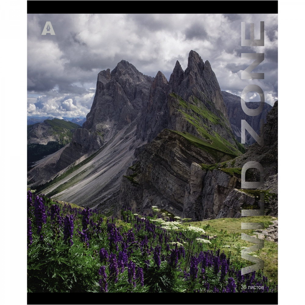 Тетрадь 36 л., А5, линия, Alingar, "Wild zone", скрепка, офсет, мелованная бумага, 5 дизайнов в пленке т/у