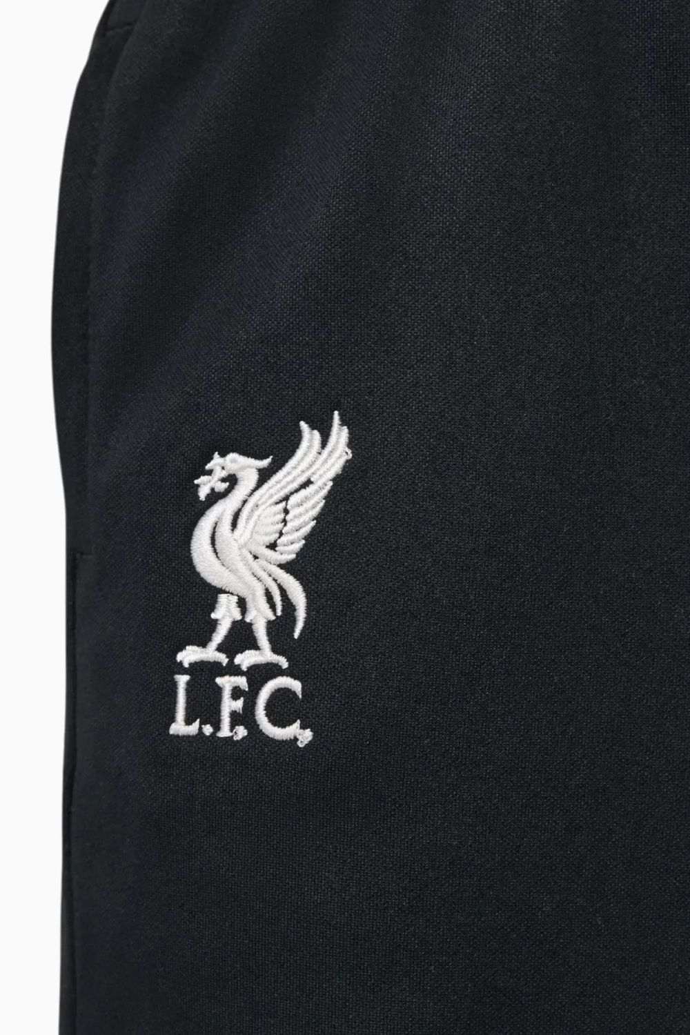 Штаны Nike Liverpool FC 24/25 Academy Pro Junior