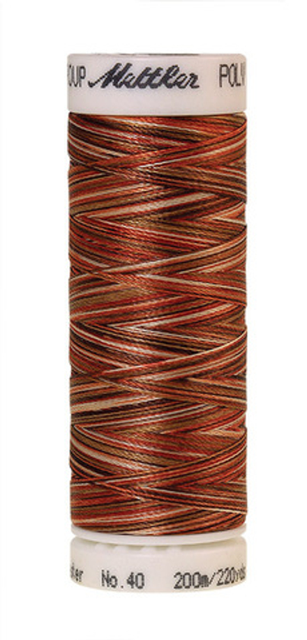 Нить POLY SHEEN MULTI 200m п\э № 40 col.9302