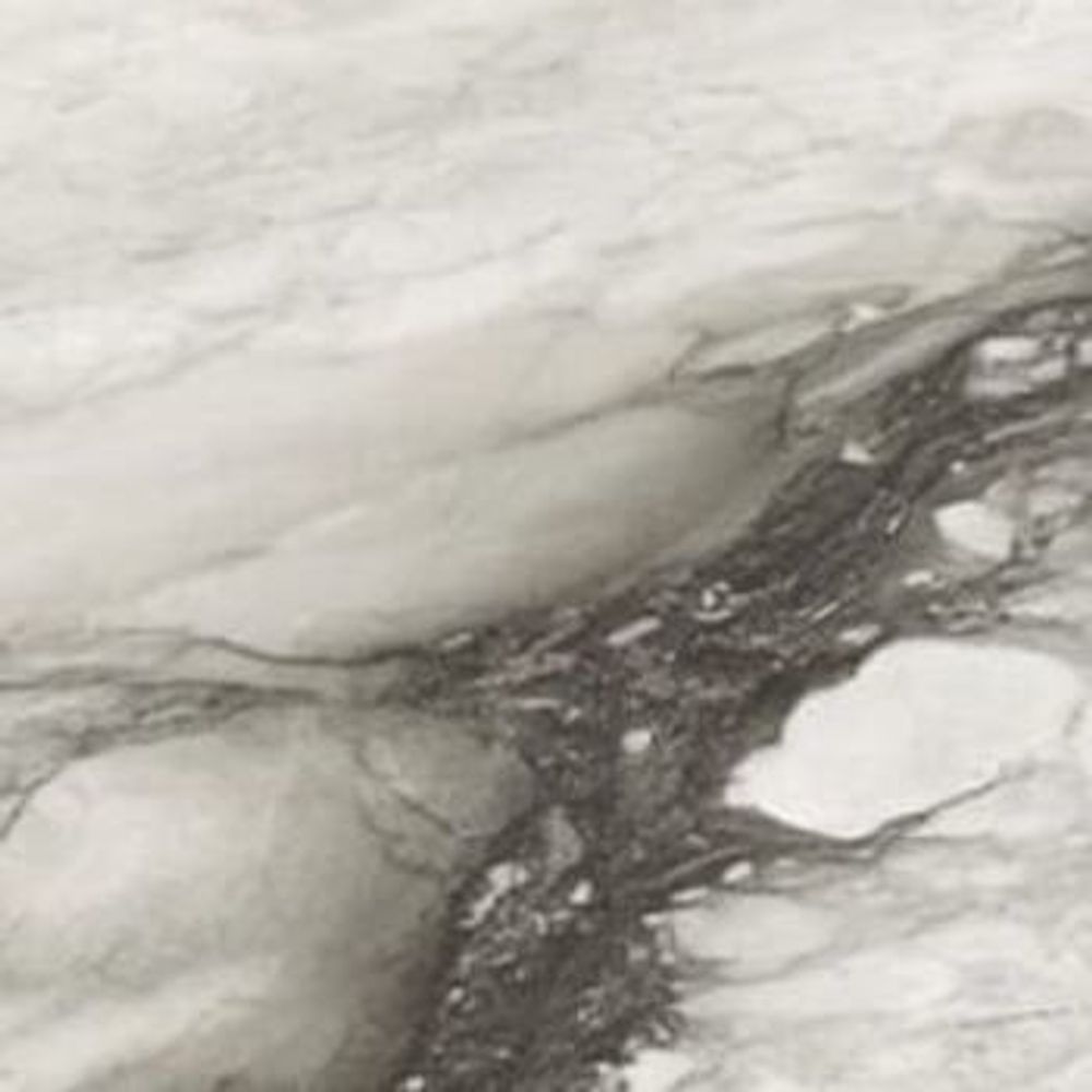 Rex Ceramiche Etoile de Rex Renoir Glossy 80x80