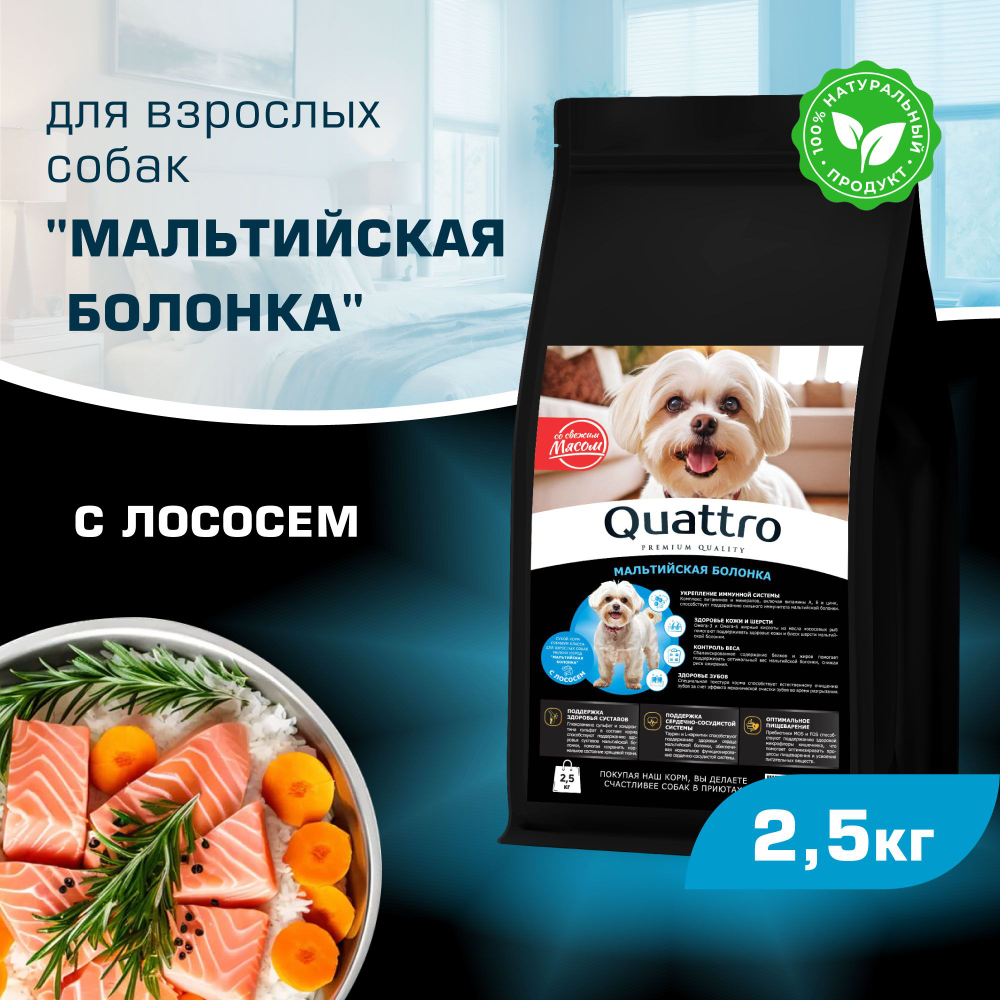 Корм сухой для взрослых собак породы Мальтийская болонка, с лососем, 2,5 кг, QUATTRO