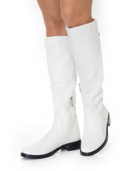 Сапоги женские зимние CARDICIANA BA851-2