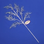 Ветка хвойная «Зимняя свежесть» 67 см, Белый