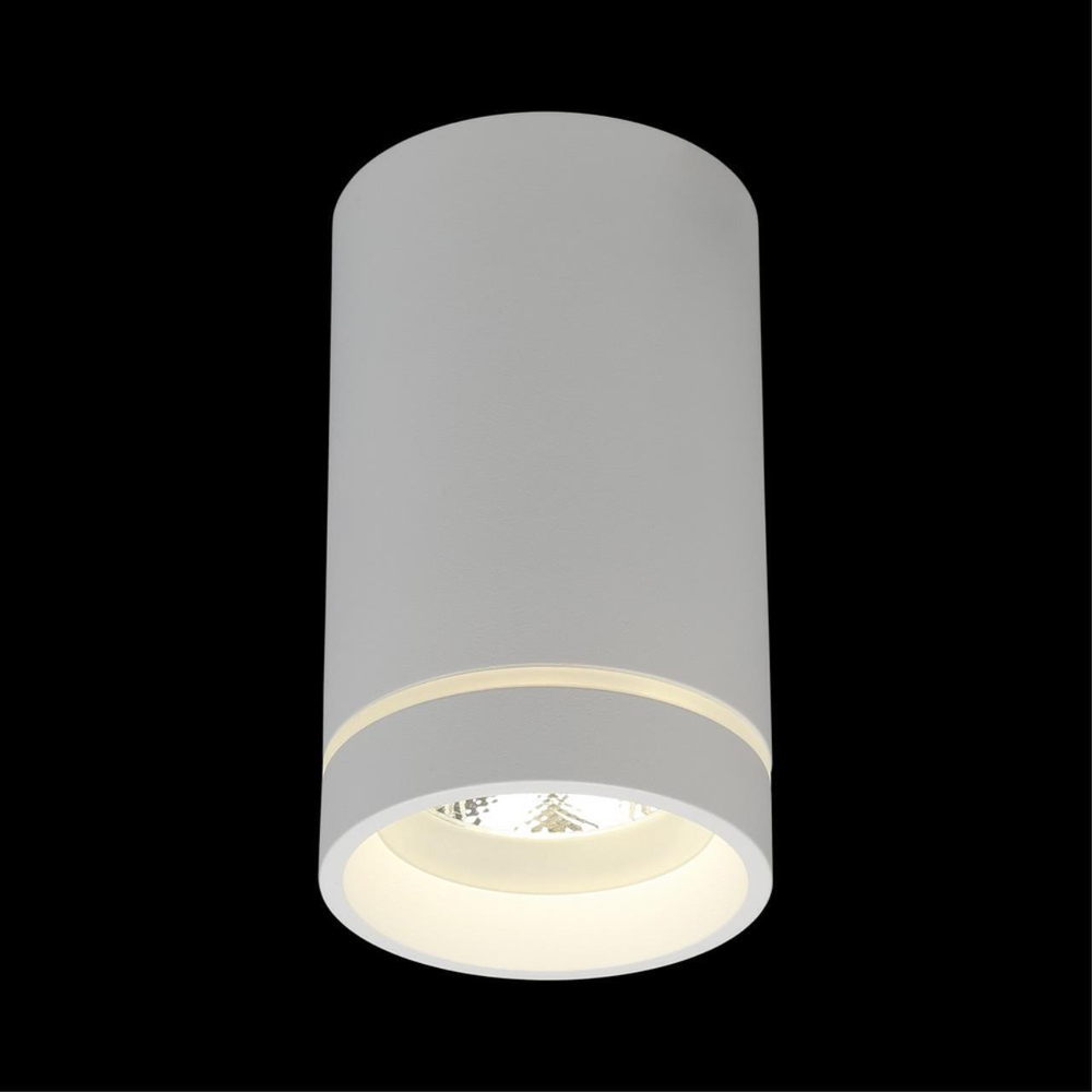 Накладной светодиодный светильник Aployt Edda APL.0054.09.10