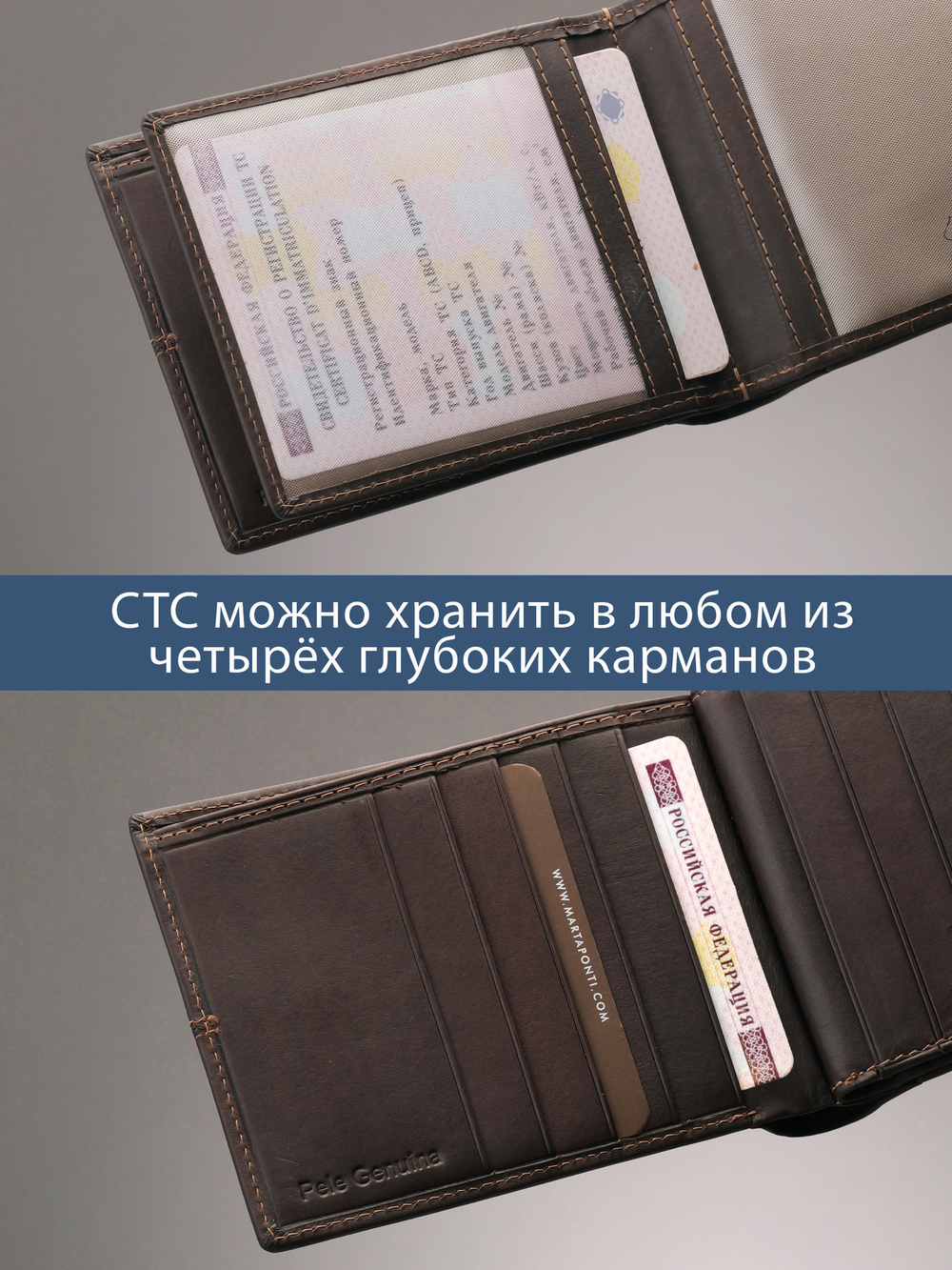 B240036R CASTANHO - Портмоне с RFID защитой MP