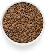 Grandorf fresh cat potato корм сухой беззерновой для стерилизованных кошек лосось,батат