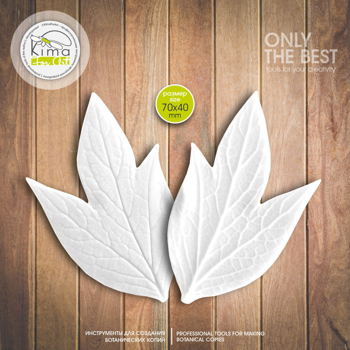 Пион древовидный лист большой