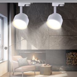 Трековый светильник однофазный ЭРА TR16 GX53 WH под лампу GX53 белый