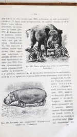 "Руководство зоологии. Для мужских средне-учебных заведений". Л. и В.Шимкевич. 1910 г.
