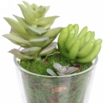 Цветок искусственный «Суккулент» 6*10см в стеклянном горшке ZPY-19