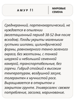 Семена огурцов Амур F1, 7 семян (Vita Green / Вита Грин)