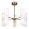 Потолочный светильник Цветок / Fiore Freya fr5368cl-10bs