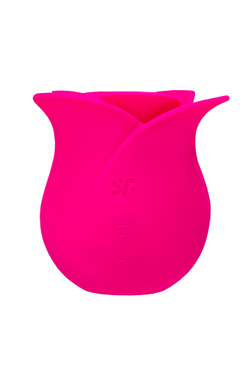 Вакуум-волновой стимулятор клитора Satisfyer Pro 2 Modern Blossom, бордовый