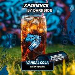 Табак для кальяна "Дарксайд" Экспириенс (Вандал Кола), 250 г