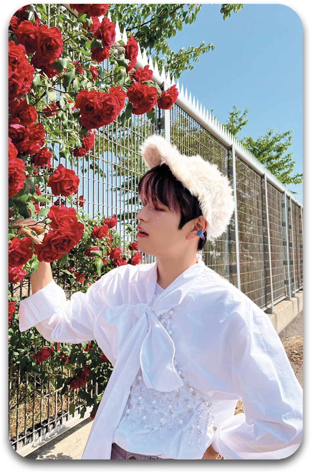 Карта / STRAY KIDS #1167