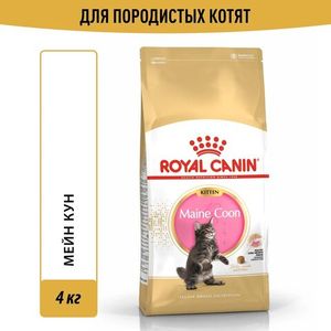 Сухой корм Royal Canin Maine Coon Kitten для котят породы Мэйн Кун