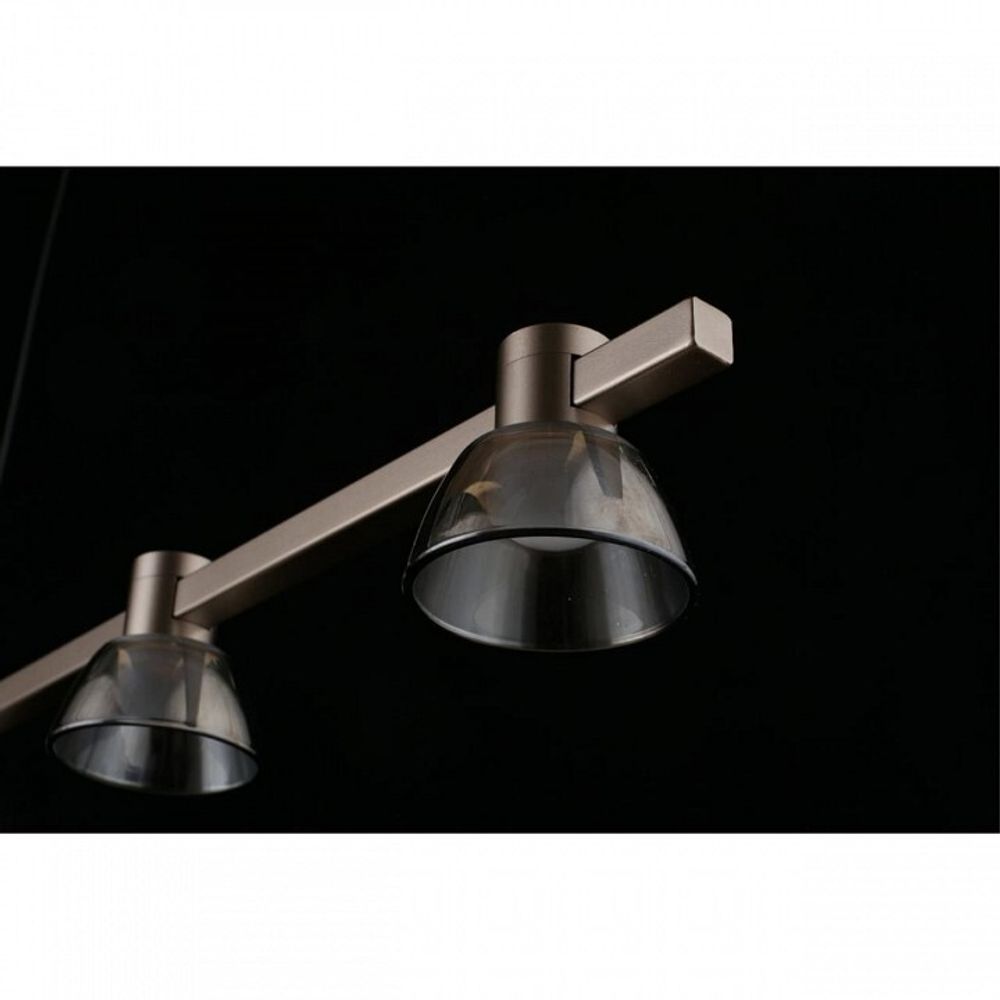 Подвесной светильник Aployt Rezeda APL.788.03.06